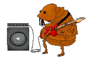 Gif animé puce guitare